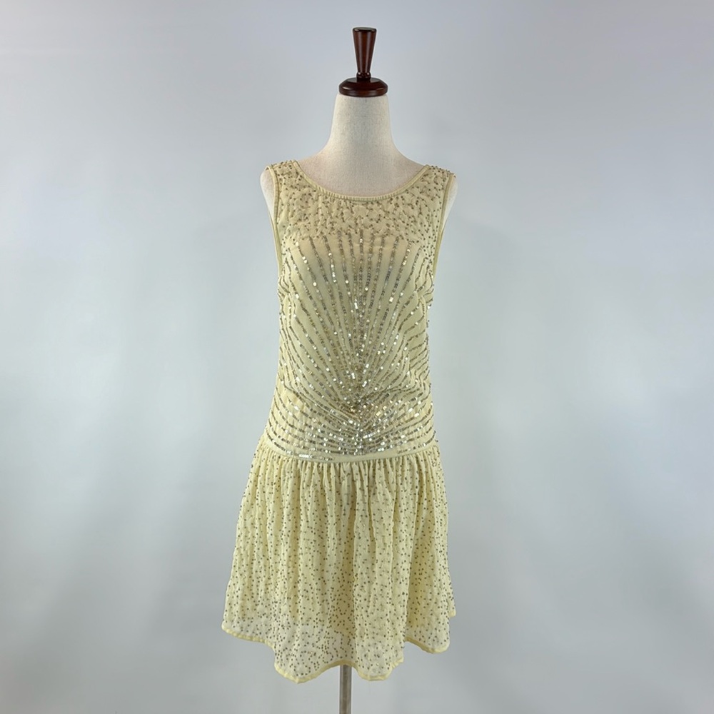 Zara Sequined Drop Waist Party Holiday New Years Dress
